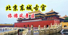 男生捅美女黄色中国北京-东城古宫旅游风景区